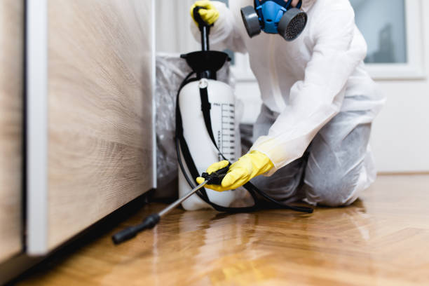 Best Termite Control Services  in Pocomoke City, MD